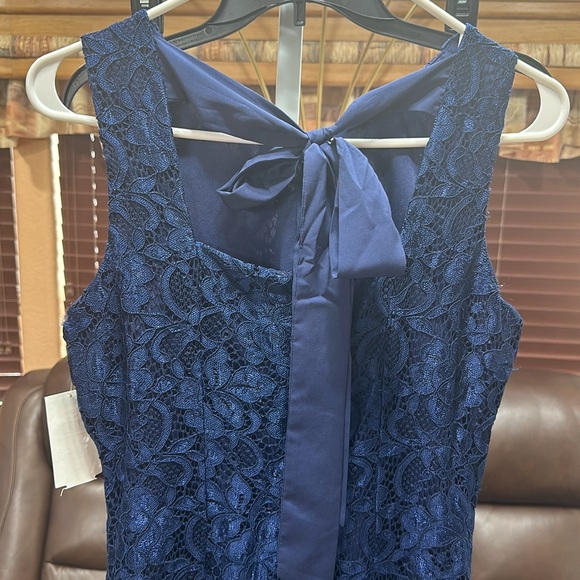 Sam Edelman Lace Blue Dress With Tie in the back - Picture 5 of 7